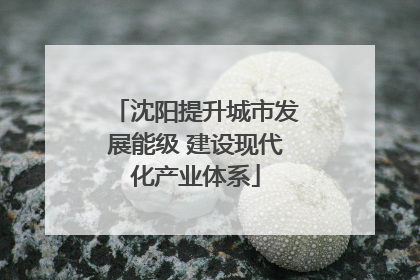 沈阳提升城市发展能级 建设现代化产业体系